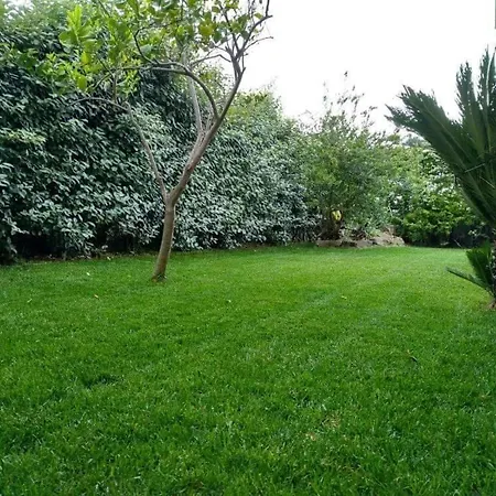 Loft Le Pavoncelle Lägenhet Ittiri