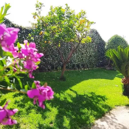 Loft Le Pavoncelle Ittiri
